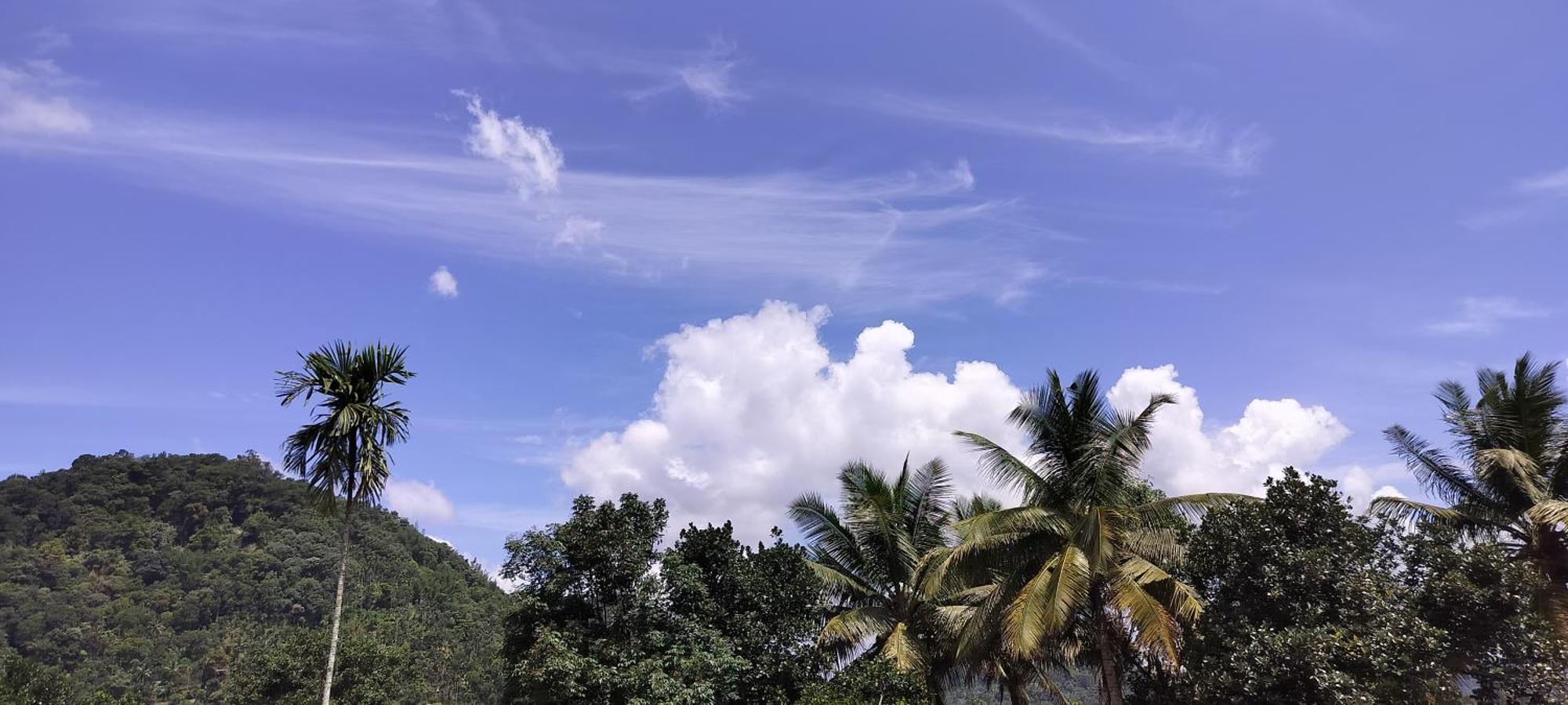 Himadri Munnar Holidays Luaran gambar