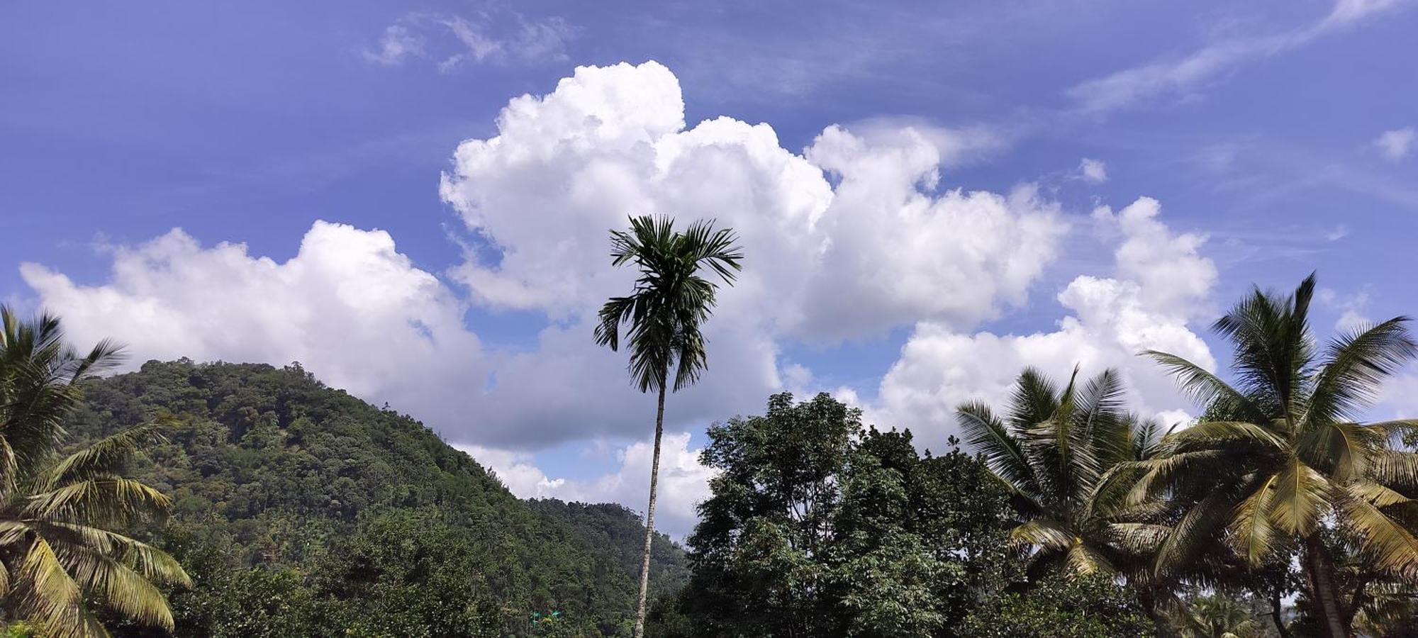 Himadri Munnar Holidays Luaran gambar